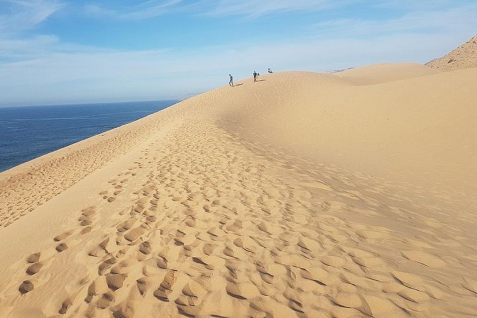 Half Day Desert Sand Boarding Experience With Dinner - Duration and Flexibility