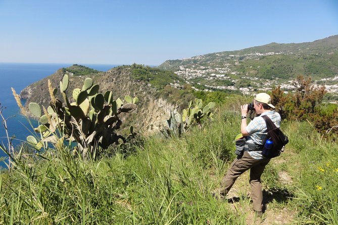1 half day east coast hike in ischia island with pick up Half-Day East Coast Hike in Ischia Island With Pick-Up