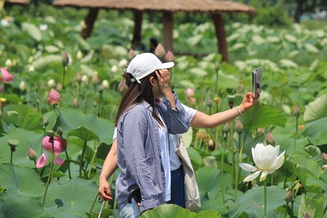 Half-Day Excursión Lotus Flowers and Local Foods From Busan