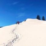 1 half day guided snowshoe hike in the allgau Half-Day Guided Snowshoe Hike in the Allgäu