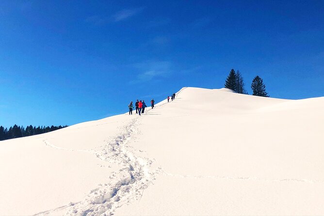 Half-Day Guided Snowshoe Hike in the Allgäu