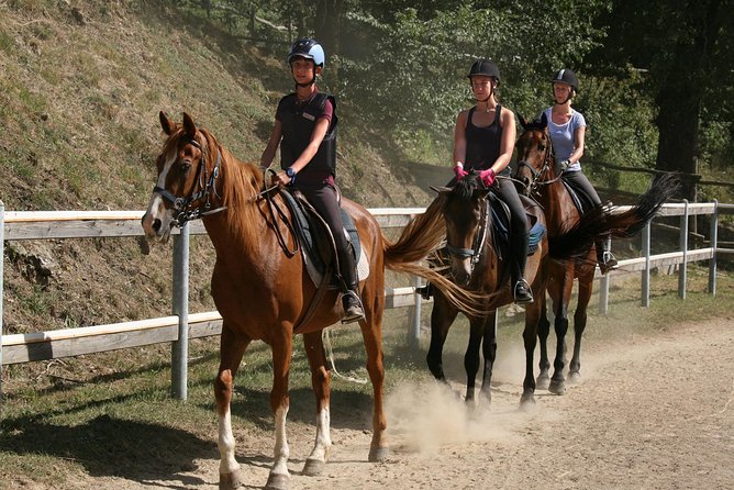 1 half day horseback ride in tuscany for beginner riders Half-Day Horseback Ride in Tuscany for Beginner Riders