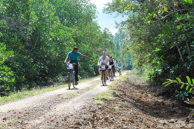 Half-Day Lagoon and Village Cycling Tour in Galle