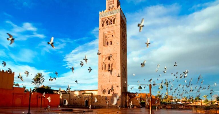 Half-Day Marrakech City Tour: Discover the Heart of Morocco