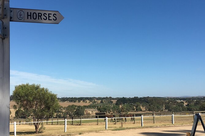 Half-Day Melbourne Racehorse Encounter