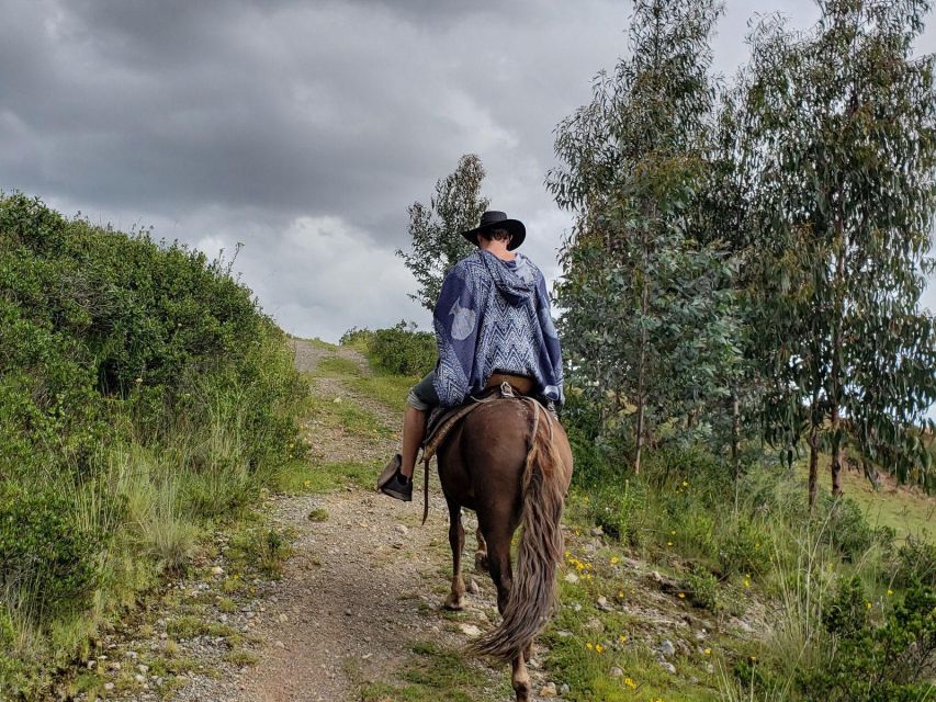 1 half day mountain ride on horseback Half Day : Mountain Ride on Horseback