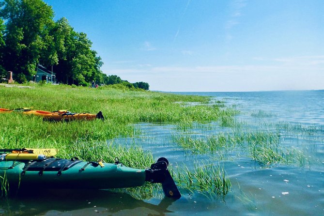 Half-Day Orleans Island Small-Group Sea Kayaking Tour