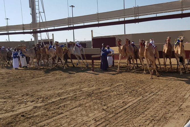 Half-Day Private Guided Camel Race Tour in Qatar