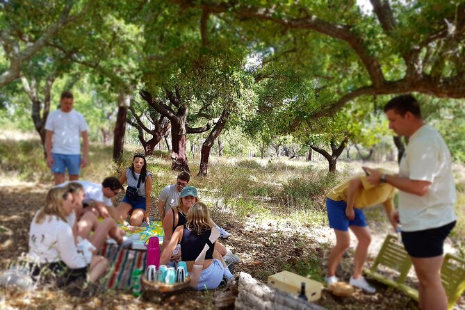 Half-Day Small-Group E-Bike Tour of Rural Algarve With Lunch