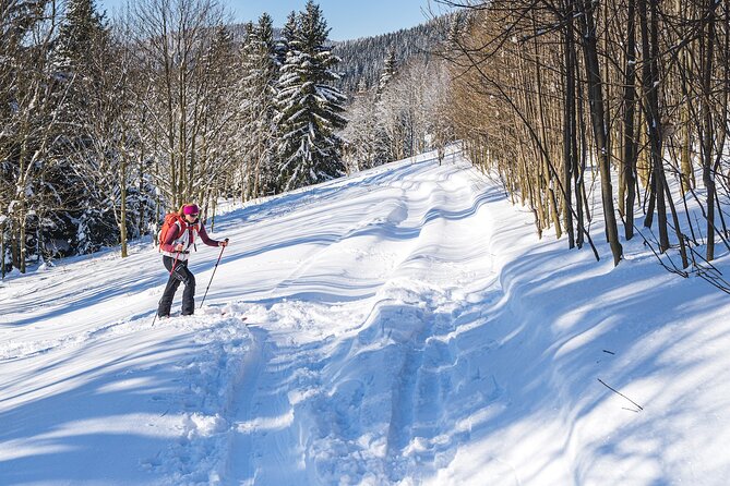Half-Day Snowshoe Trip From Prague - Included Amenities