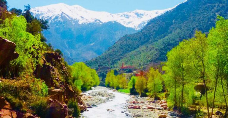 Half Day Tour From Marrakech to the Atlas Mountains & Ourika
