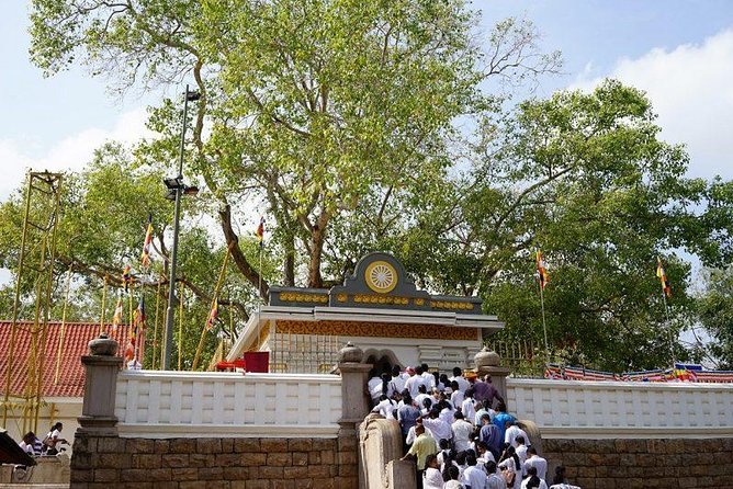Half Day Tour – in Sacred City of Anuradhapura or Sacred City of Mihintale.