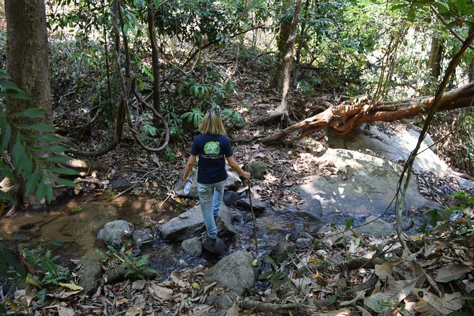 Half Day Trekking Doi Suthep - Pui National Park Area (Private Tour) - Pickup Locations