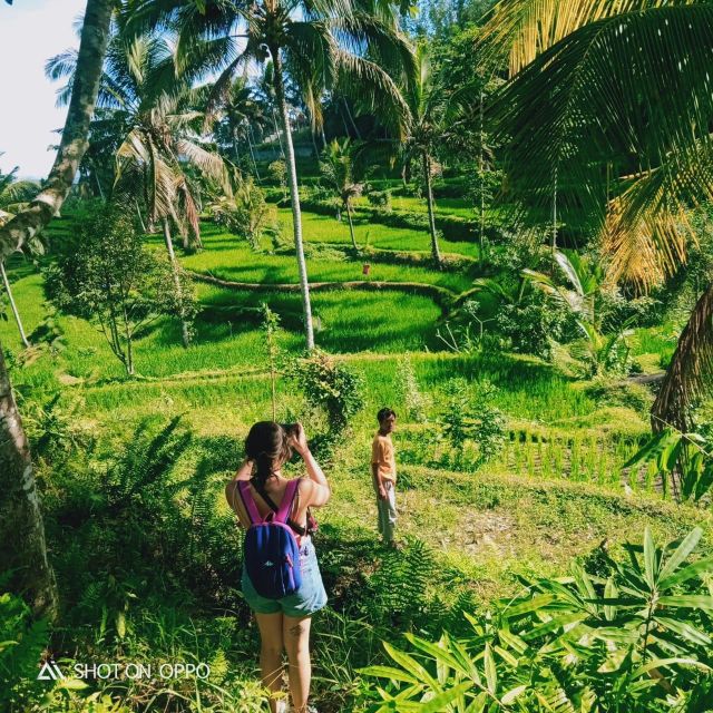 Half Day Trip to the Waterfall & Rice Fields