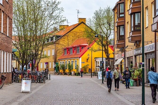 Half Day Walking Tour in Lund City and University