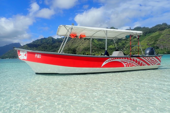 1 half day whale watching and swimming tour moorea Half-Day Whale Watching and Swimming Tour, Moorea