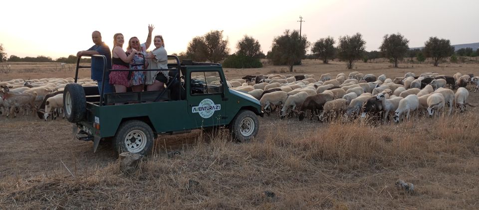 Halfday - Algarve Jeep Safaris Tours - Tour Highlights