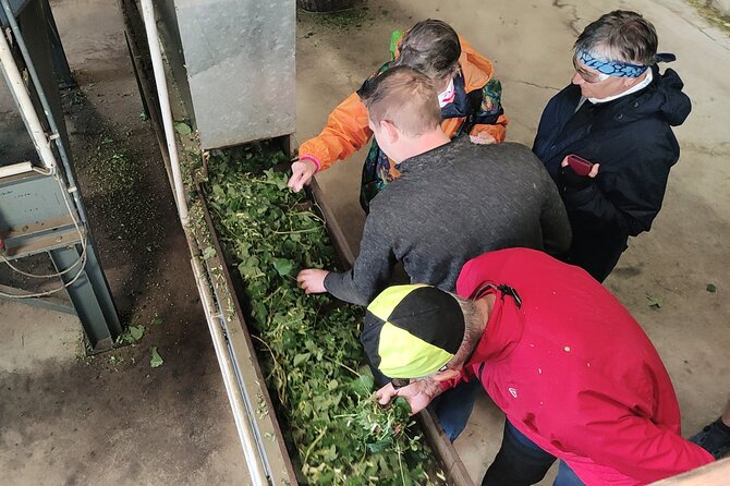 Hallertau Experience With Hop Harvest, Lunch and Hop Museum