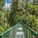 1 hanging bridges tour guide from monteverde Hanging Bridges & Tour Guide From Monteverde