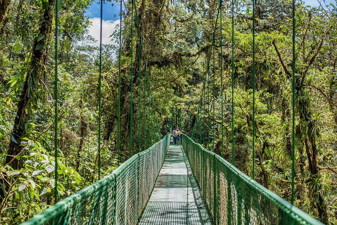 Hanging Bridges & Tour Guide From Monteverde