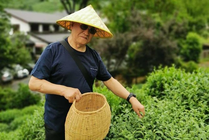 Hangzhou Longjing Tea Plantation Culture Experience Tour - Tour Highlights