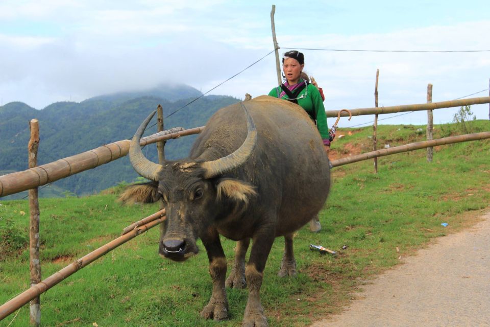 1 hanoi 3 day sapa trek with homestay Hanoi: 3-Day Sapa Trek With Homestay