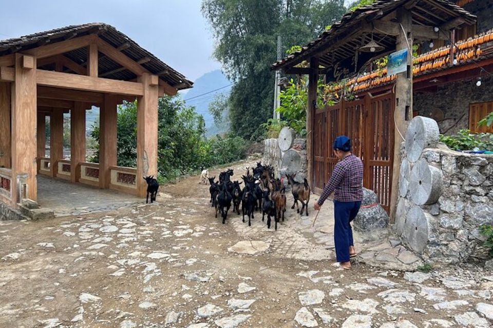 1 hanoi ban gioc waterfall to hidden village trekking tour Hanoi: Ban Gioc Waterfall to Hidden Village Trekking Tour