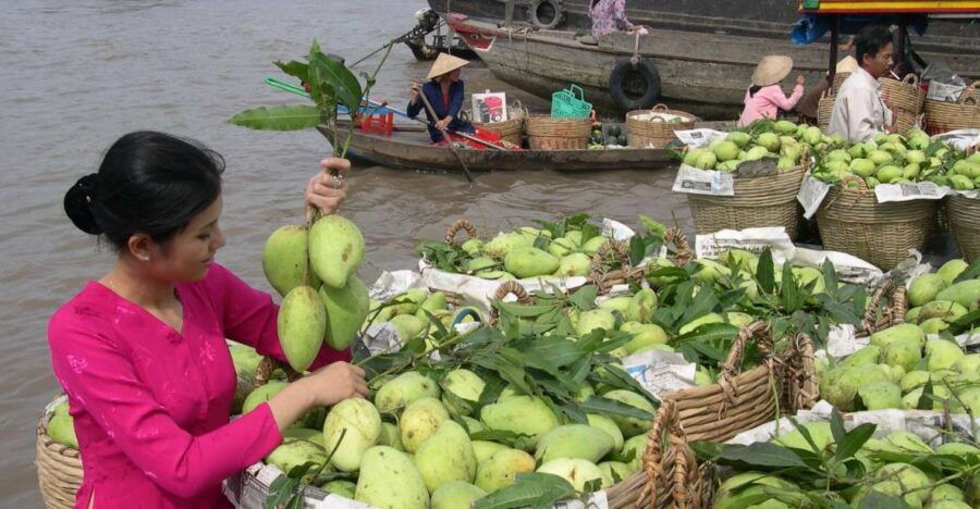 HCMC: Cai Rang Floating Market & Mekong Delta Private Tour