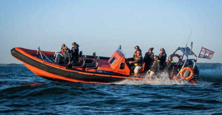 Helsinki: City and Outer Islands Guided RIB Boat Tour