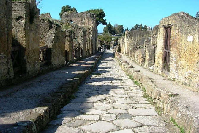 Herculaneum Ruins Private Half-Day Tour