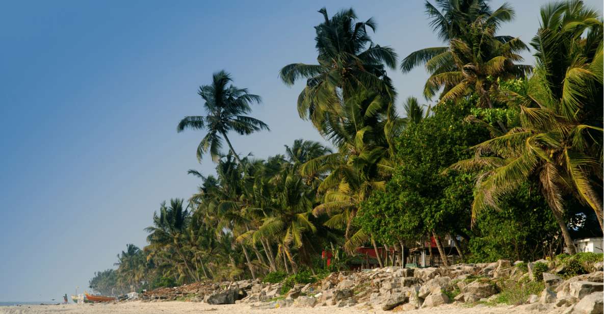 1 heritage cultural walk of alleppey guided walking tour Heritage & Cultural Walk of Alleppey - Guided Walking Tour