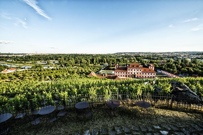 Hidden Vineyards and Private Winery Tour in Prague