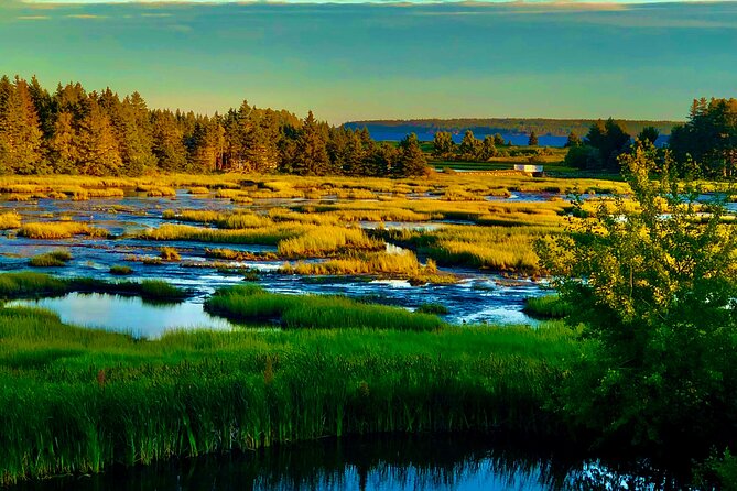 Highlights of Lunenburg: Small-Group Guided Tour  - Halifax - Local Insights and Stories