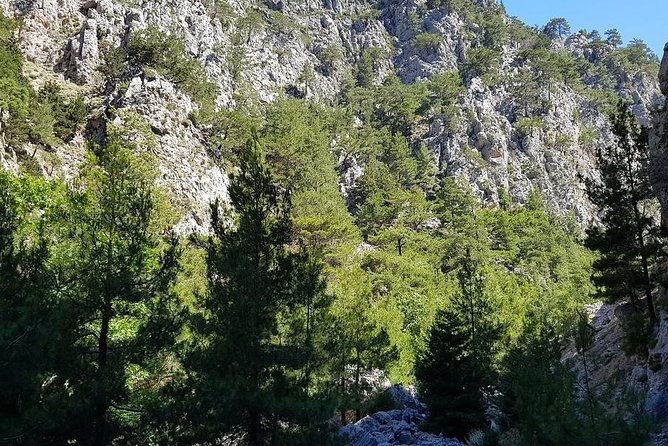 Hike Agia Irini Gorge Private Tour (Price per Group of 6)