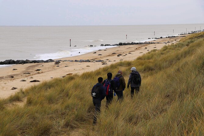 Hike to Atlantic Grey Seal Pups – Best Time to Visit - Ideal Weather Conditions for Seal Watching