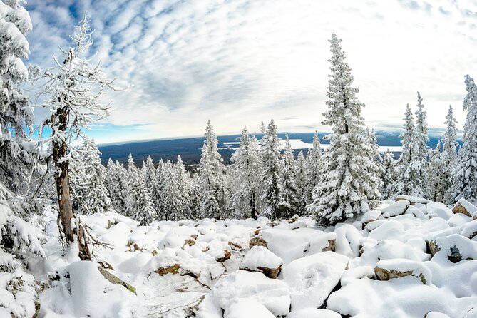 Hike to Frozen Waterfalls of Korouoma Including BBQ Lunch From Rovaniemi - Booking and Policies