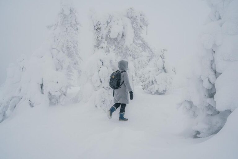 Hiking in Riisitunturi National Park With Photographer