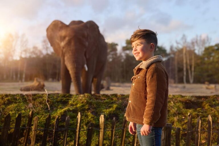 Hilvarenbeek: Safaripark Beekse Bergen Entry Ticket