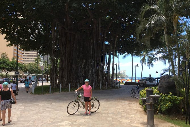1 historical honolulu bike tour Historical Honolulu Bike Tour