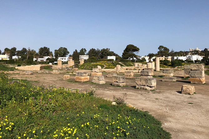 Historical Tour of Ancient Carthage