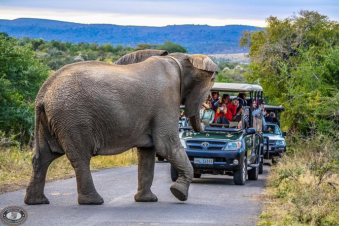 Hluhluwe-Imfolozi Park Full Day Big 5 Safari Tour