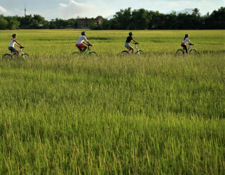 Hoi An: Morning Countryside Tour by Bike