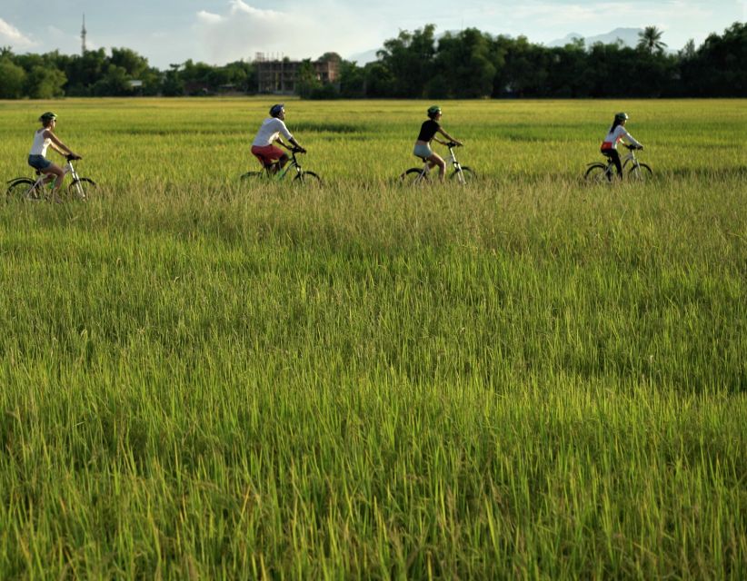 1 hoi an morning countryside tour by bike Hoi An: Morning Countryside Tour by Bike