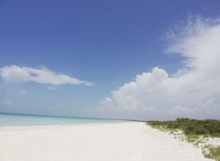 Holbox – Fishing & Snorkel in Cabo Catoche