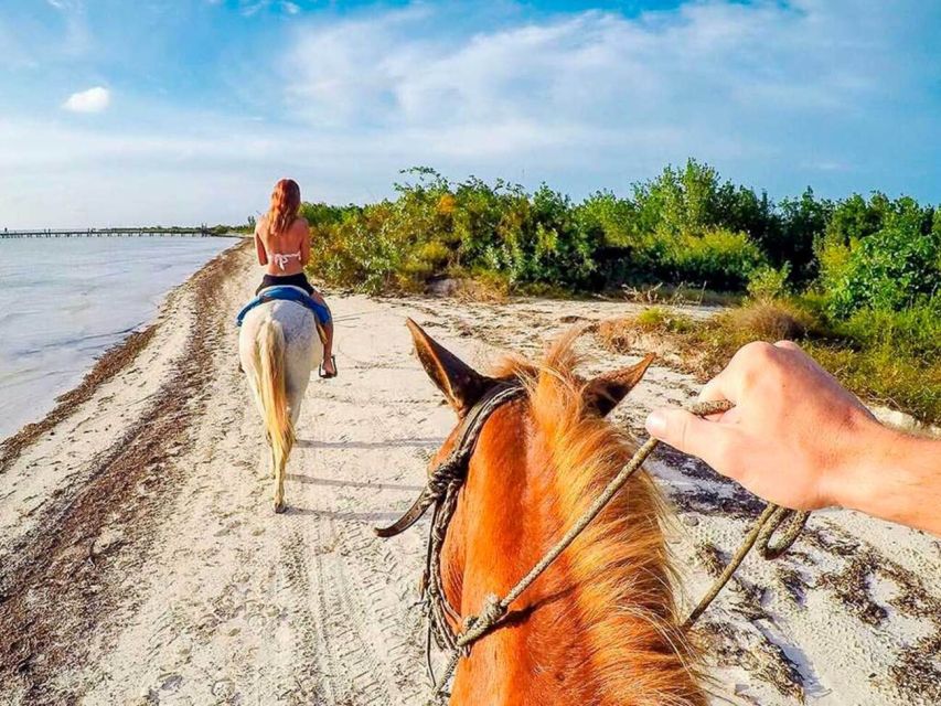 1 holbox guided horseback ride on the beach Holbox: Guided Horseback Ride on the Beach