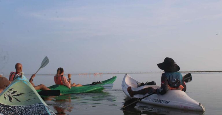 Holbox: Guided Sunrise Kayak Tour Through Mangrove Reserve