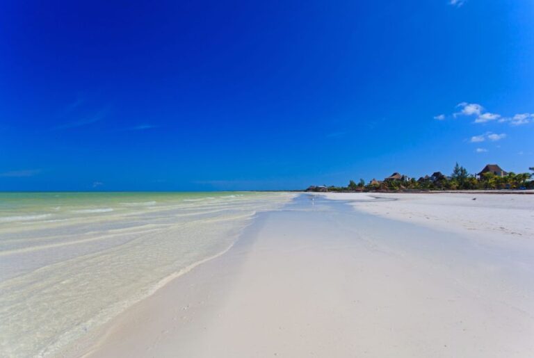 Holbox Island Day Trip With Boat Tour & Lunch
