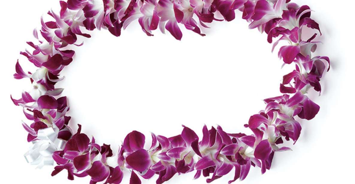 1 honolulu airport private transfer with arrival lei greeting Honolulu: Airport Private Transfer With Arrival Lei Greeting