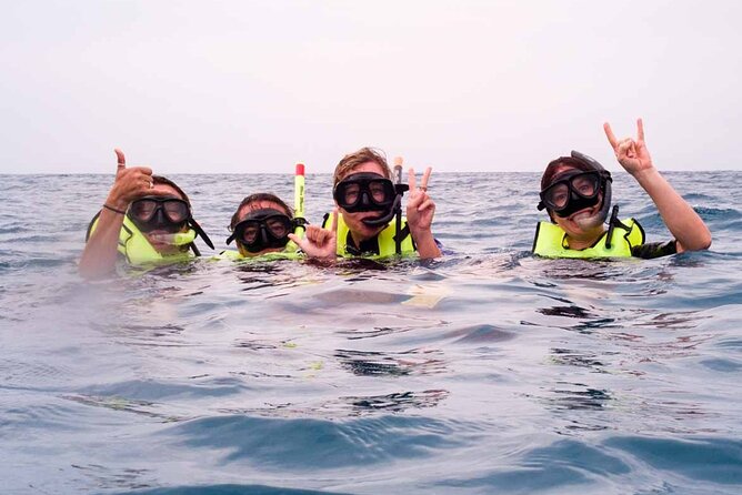1 honolulu maunalua bay snorkel tour oahu Honolulu Maunalua Bay Snorkel Tour - Oahu