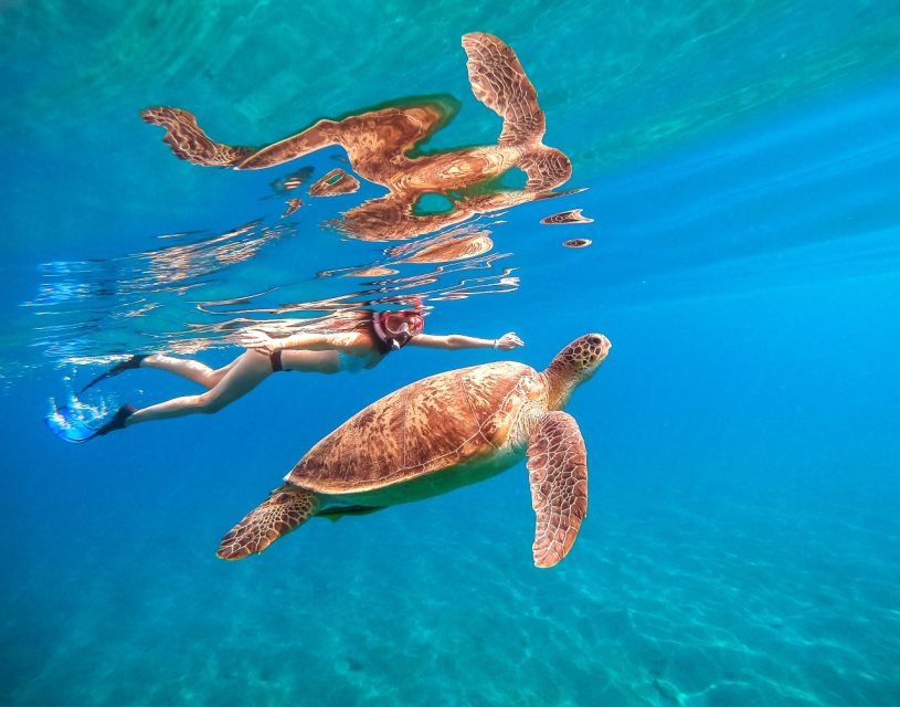 1 honolulu waikiki turtle snorkeling tour 30ft jump Honolulu: Waikiki Turtle Snorkeling Tour & 30ft Jump